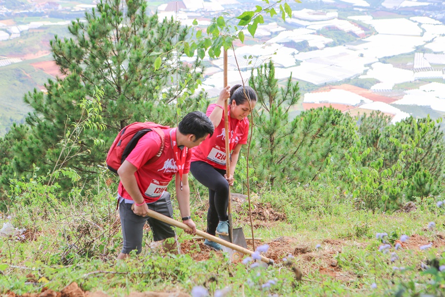 Hàng trăm VĐV chạy Langbiang Trail 2019 để trồng mai anh đào bảo vệ môi trường